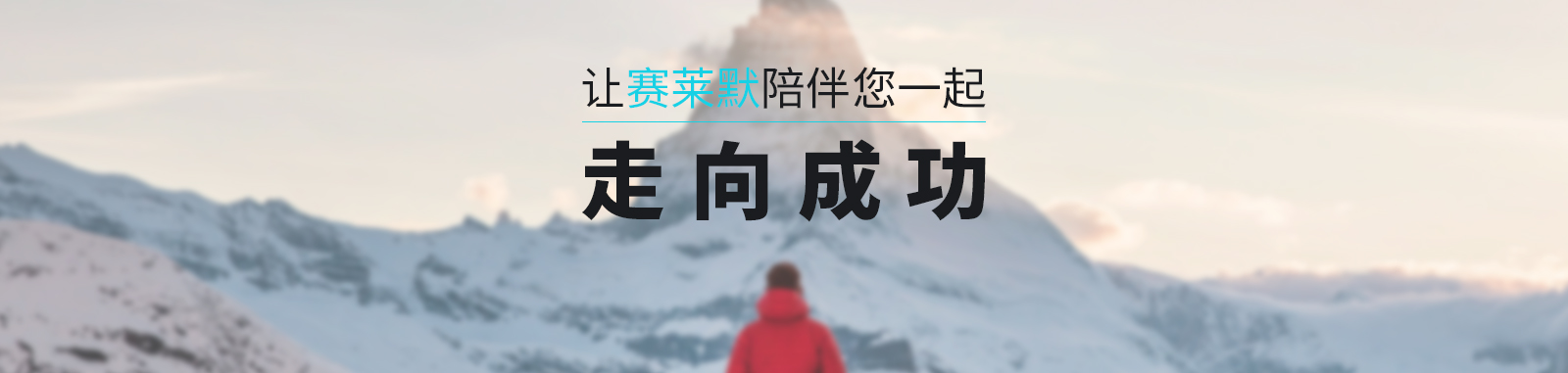 成功案例